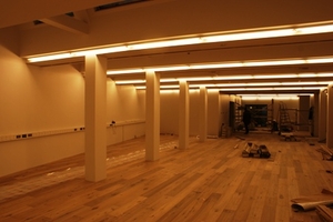 Atvinnuvega og N&yacute;sk&ouml;punarr&aacute;&eth;uneyti